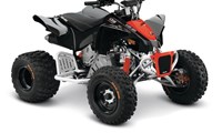 Can-am DS X 90 -22