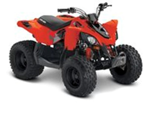 Can-am DS STD 90